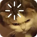 loadingcat