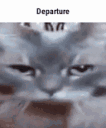 vc_depart