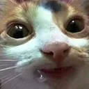 mlem mlem