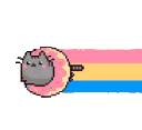 CH_donutcat
