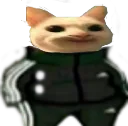 smilecatadidas
