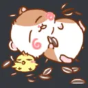 v_hampfoodcoma