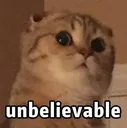 iz_uiimaa