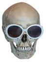 skullWHAT