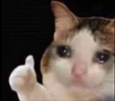 thumbsupcat