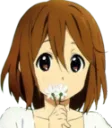 yui_flower