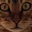 luckyc42Stare luckyc42Stare