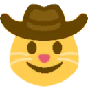 cowboycat