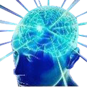 bigbrain