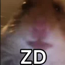 zd