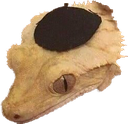 shalomander Discord sticker from Jewish Community