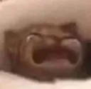 waaaaaaah