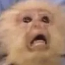 ymirusmoescared