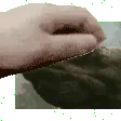 froggif