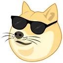 kooldoge Discord Emoji