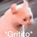 gritito