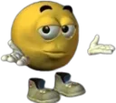 intjshrug