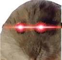 niemareee