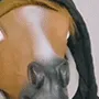horseok