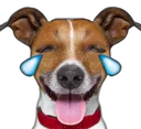 Joydog Discord Emoji