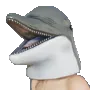 dolphin_kek