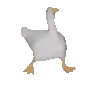 GooseJAM