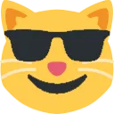 sunglasses_cat