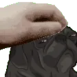 pettheedgar pettheedgar