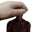 petLuci