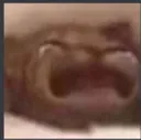 cryCat cryCat