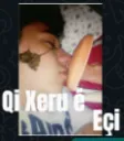 QiXeruEsi