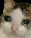 sad
