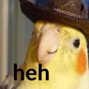 heh