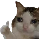 CatThumbs CatThumbs