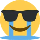 TheShadesHideThePain
