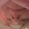 lynenom Discord emoji
