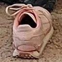 shoe