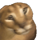 floppa_Shake Discord emoji