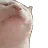 catjam