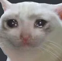 onosadkitty