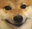 DogeWeird