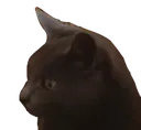 __