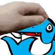 pet_fronk