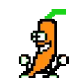dancecarrot