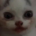 me_lon