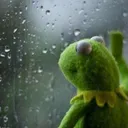 kermit_window