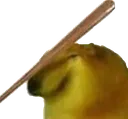 bonked