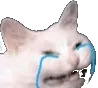 catsad