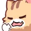 catsigh