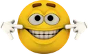 EmotiForcedSmile EmotiForcedSmile